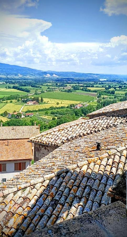 Villa Domus Claudia Castiglione In Teverina Esterno foto